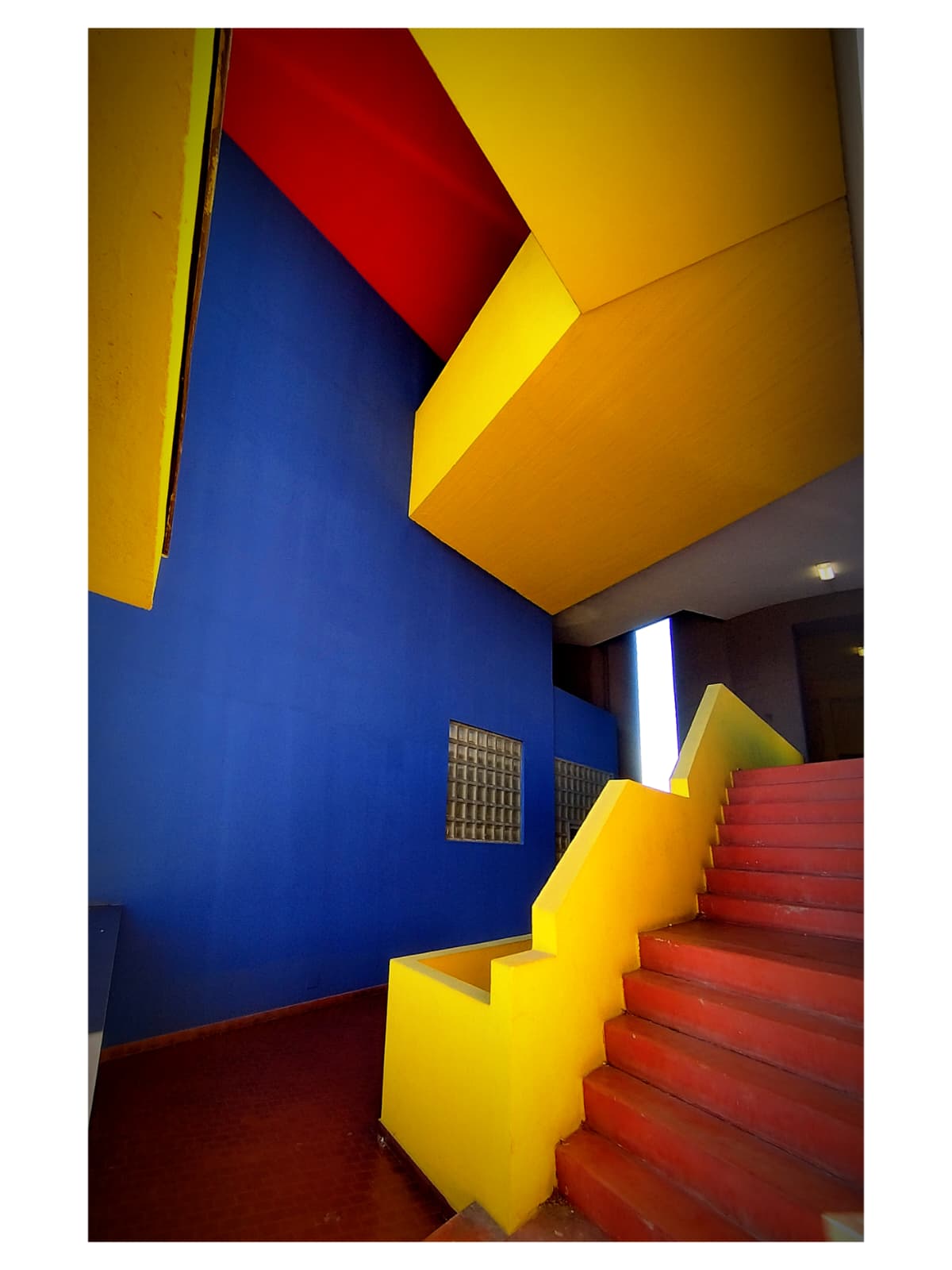 Primary colors - Photo credits : @ki_bloom