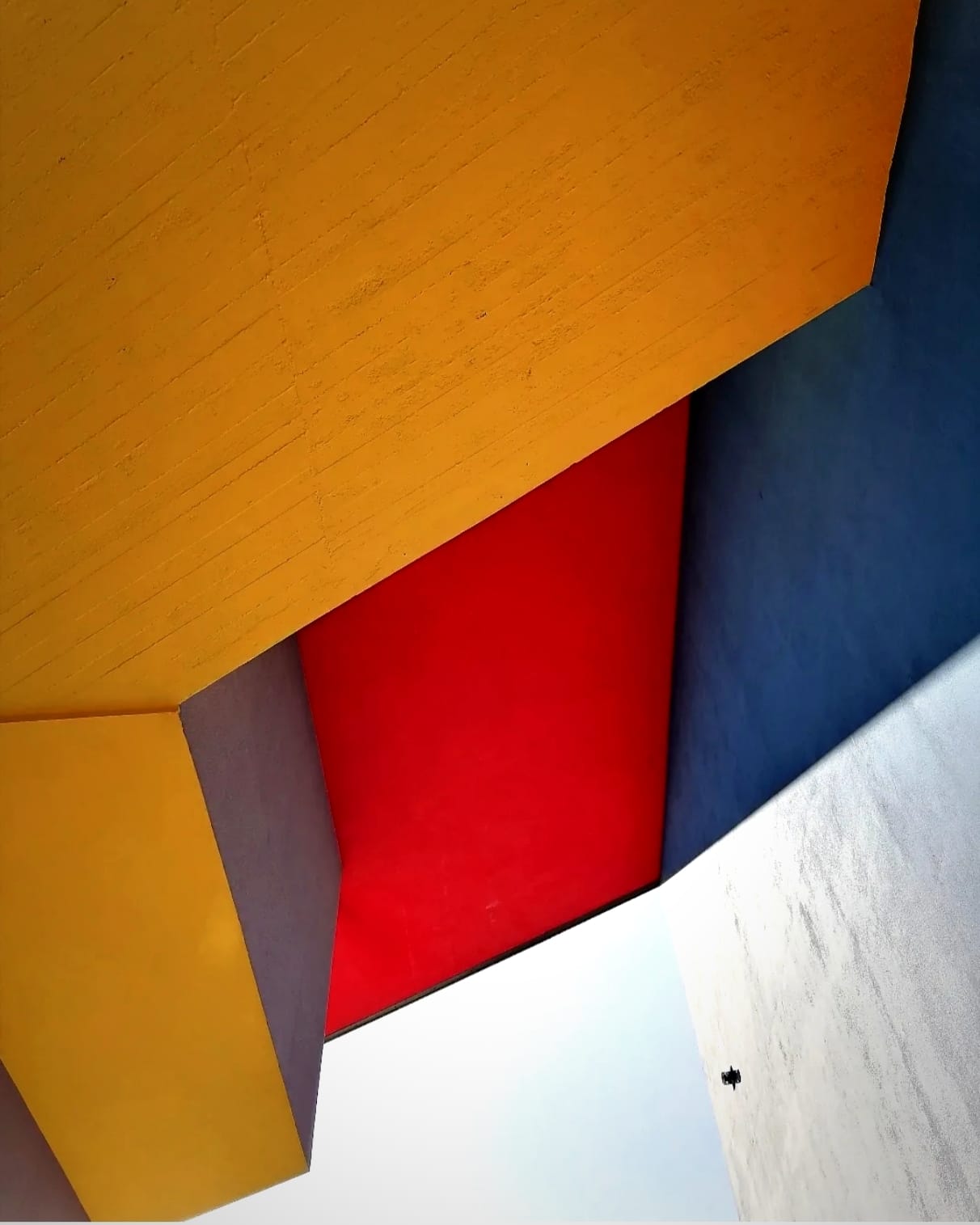 Primary colors - Photo credits : @ki_bloom